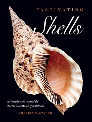 cover image of Fascinating Shells